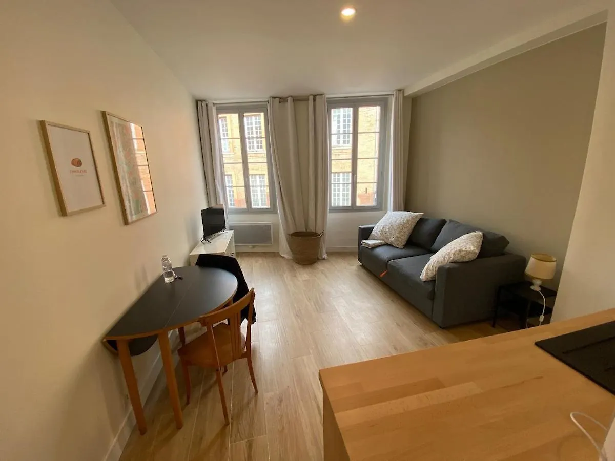 Appartamento Le Garonne : Studio Au Coeur Du Capitole Tolosa